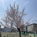 혼자 이사하는 방법. 힘들 수도 있지만 저렴하게 이사하기. 서울에서 구미로 왔어요.