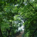 올레길 산림형 3코스 | 구로올레길 산림형3코스 천왕산, 개웅산