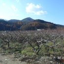 청도군-14 이미지