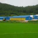 강산농장 이미지