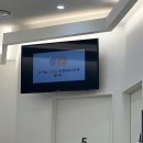 연수구 인천적십자병원 ~ 대학공원 앞 | 송도24시동물병원 추천 오케이동물메디컬센터에서 건강검진 받았어요
