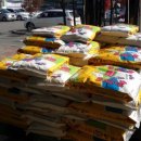 원진수지 이미지