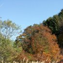 일신농장 이미지