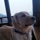 육미천하 이미지