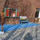 갈숲마을 이미지