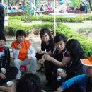 백사초교 이미지