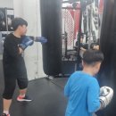 강화 용인대 복싱클럽 이미지