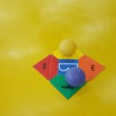 튼튼한 용인대 태권도장 이미지