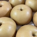 대남농장 이미지