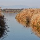 낙동강변6 이미지