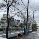 산호동124 이미지