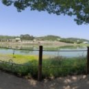 교리길-1 이미지