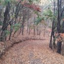 산장농원 이미지