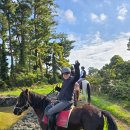 성운대학교 | 성운대학교 3학년 졸업여행 제주 외승 26일! 어제보다 더 빵터진 이유는? 🤣🐴✈️
