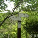 천관산 문학공원 Daum카페