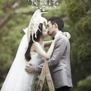엘스튜디오 이미지