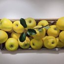 사과향기 이미지