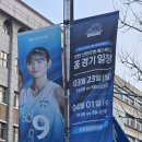 신화자동차정비 | [WKBL]신한은행 홈경기 관전후기_2026년 3월 23일