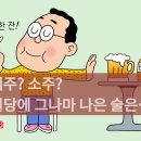 맥주? 소주? 혈당에 그나마 나은 술은… 이미지