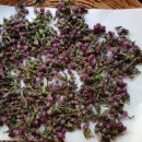 장원건강원 이미지