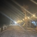 여울애꽃물들인 이미지