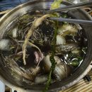 광명수산 | [성신여대 횟집] 제철 알쭈꾸미 샤브샤브, 봄도다리 성북구 광명수산 저녁 웨이팅 후기