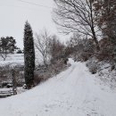 몸살림체조(건강체조) 이미지