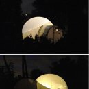 호텔 숲 이미지