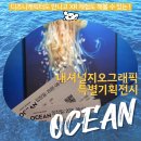 긴 여정-북극곰 | 내셔널지오그래픽 특별기획 'OCEAN' 전시회 무채색 솔직담백후기(~10/11)