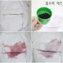 민트랩