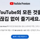 [참고 사항] 유튜브 자동 재생영상 서두에 광고가 안뜨게 하려면.. 이미지