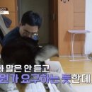 강형욱도 경악한 견주가 제공하는 강아지 복지. 이미지