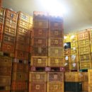 배골농장 이미지