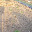 서상농장 이미지