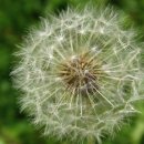 동양건강원 이미지