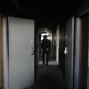 평화로09 이미지