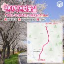 벚꽃길주유소 이미지