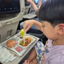 황금카부분정비 | [아이랑 도쿄여행] 대한항공 김네다 후기 (어린이 기내식, 선물)