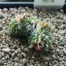 정남농장 이미지