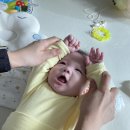 또또찹쌀도나스 - 세종특별자치시 | 또또찹쌀도나스
