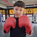 관저 복싱 클럽 이미지