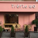 트레플