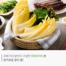 구룡포과메기