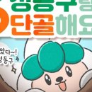 성동구청 이미지