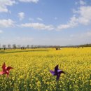 대저생태공원 이미지