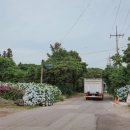 동광리-5 이미지