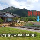 송원민박 이미지