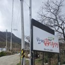 원동식육식당 | 경남 가볼만한곳 청도 미나리삼겹살 한재미나리 참식육식당 후기