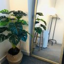 연세 휘트니스 태권도 | 전농동필라테스 : 5월 원장직강 1개월 13만원 이벤트