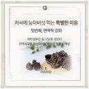 2025 처서 날짜 뜻 건강을 챙겨야 하는 이유, 자연AND